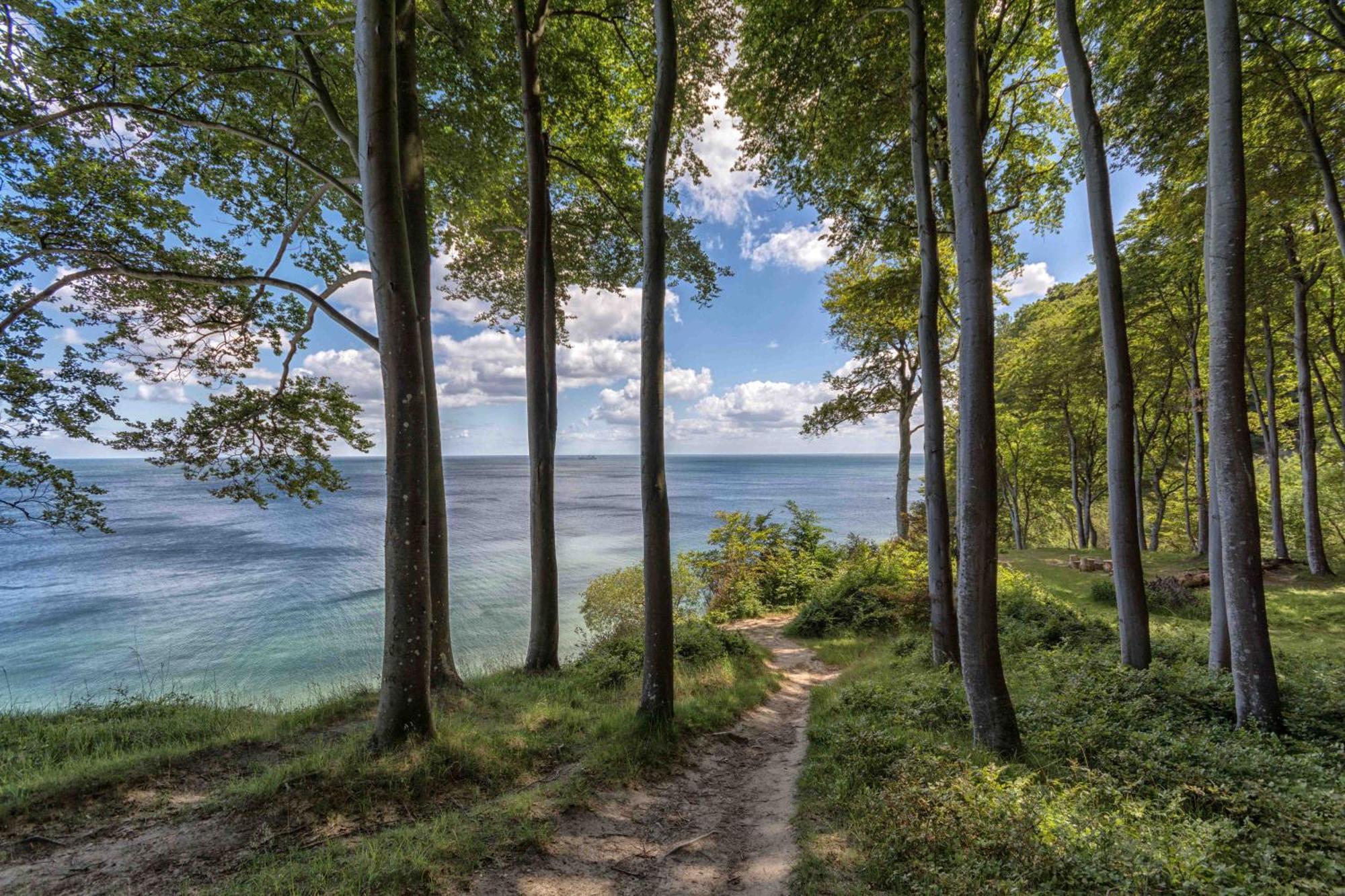 Villa Fernsicht - Wohnung Nr 1 - Mit Meerblick Sassnitz Exterior foto